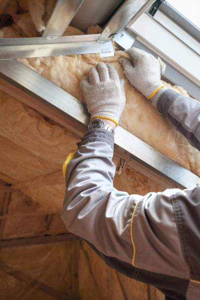 Trusted South Willard, UT Insulation Contractor Experts